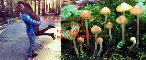 гашишное масло Белокуриха