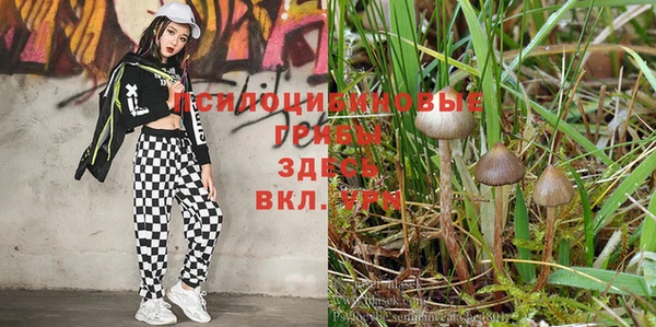 круглые Беломорск