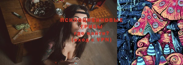 марки nbome Богданович