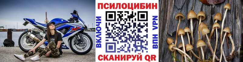 Галлюциногенные грибы мицелий  дарк нет как зайти  Богучар  как найти закладки 